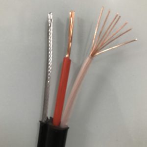 Z2788319515645 4e144975cc81f74d5f6496f34b448126